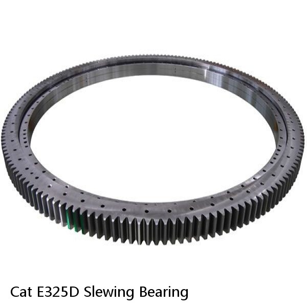 Cat E325D Slewing Bearing