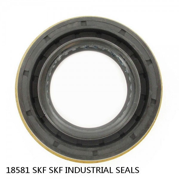 18581 SKF SKF INDUSTRIAL SEALS #1 small image