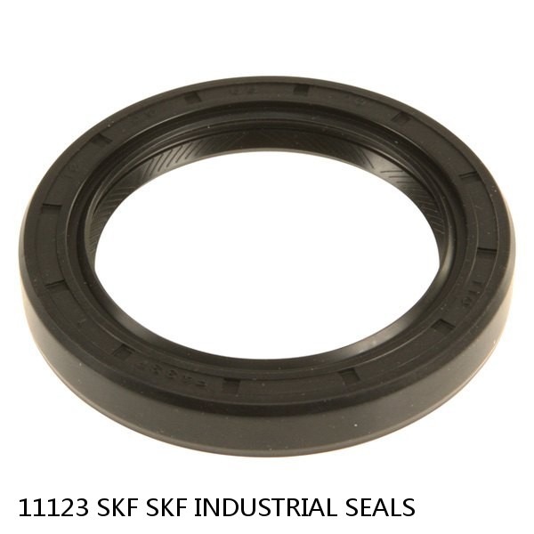 11123 SKF SKF INDUSTRIAL SEALS #1 small image