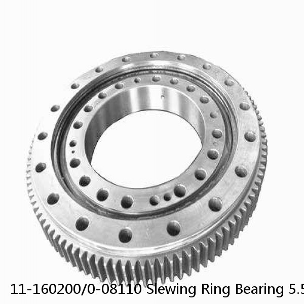 11-160200/0-08110 Slewing Ring Bearing 5.512inchx11.024inch X 1.378inch #1 small image