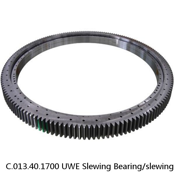 C.013.40.1700 UWE Slewing Bearing/slewing Ring #1 small image