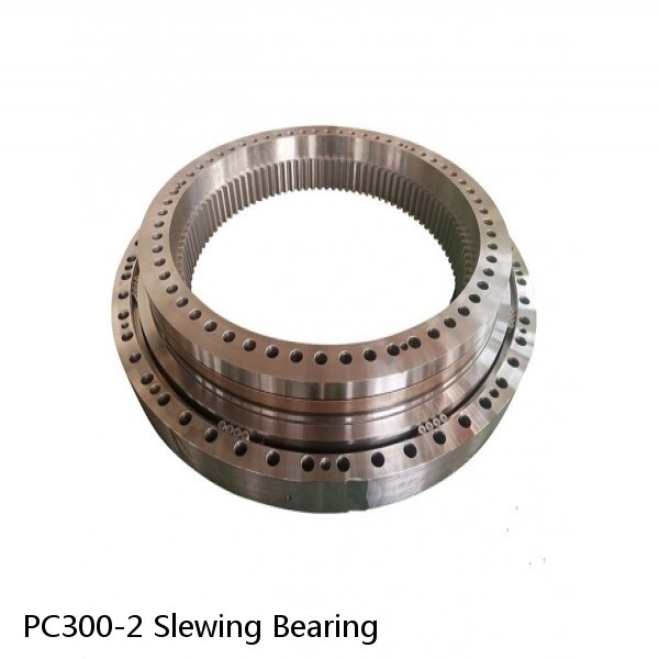 PC300-2 Slewing Bearing #1 small image