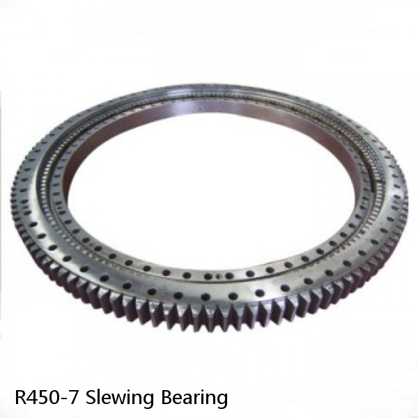 R450-7 Slewing Bearing #1 small image