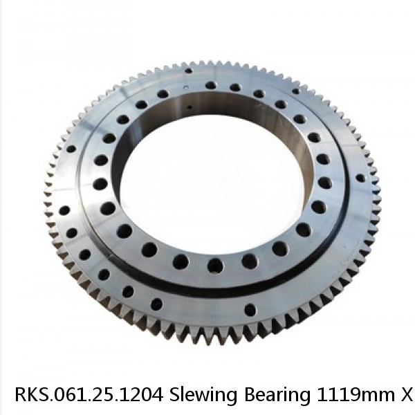 RKS.061.25.1204 Slewing Bearing 1119mm X 1338mm X 68mm #1 small image