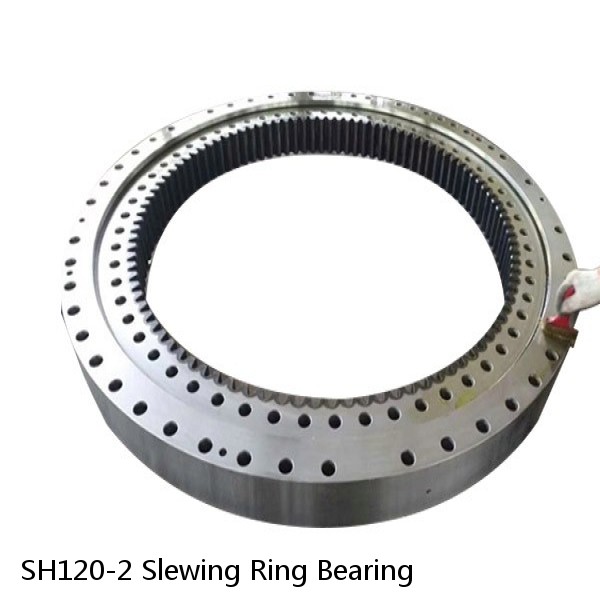 SH120-2 Slewing Ring Bearing #1 small image