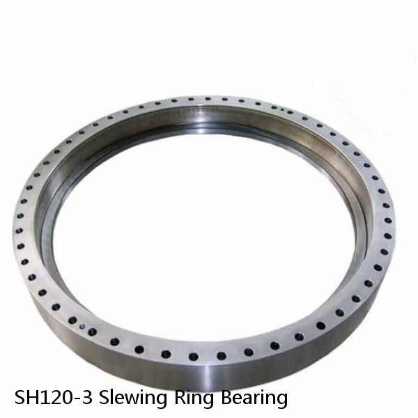 SH120-3 Slewing Ring Bearing #1 small image