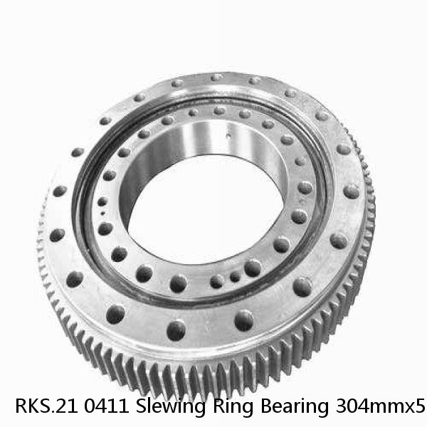 RKS.21 0411 Slewing Ring Bearing 304mmx505mmx56mm #1 image