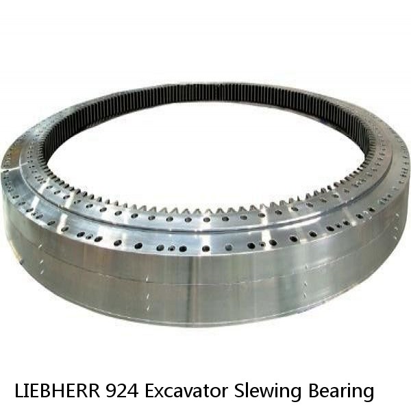 LIEBHERR 924 Excavator Slewing Bearing #1 image