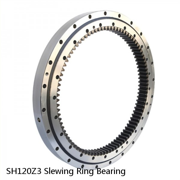 SH120Z3 Slewing Ring Bearing #1 image